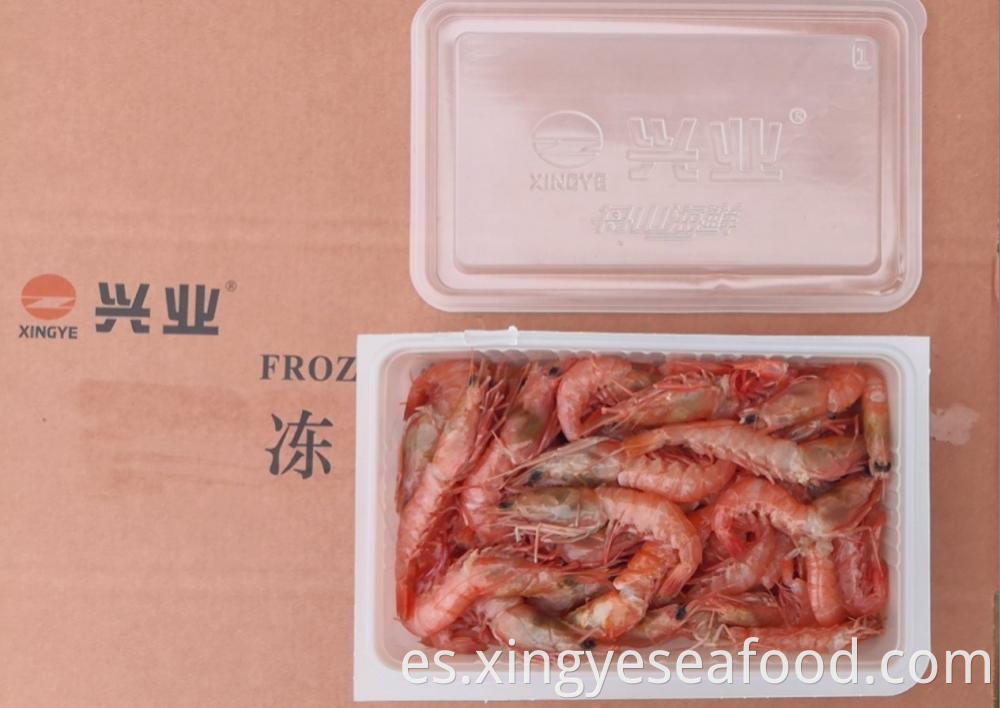 Red Deep Sea Prawn